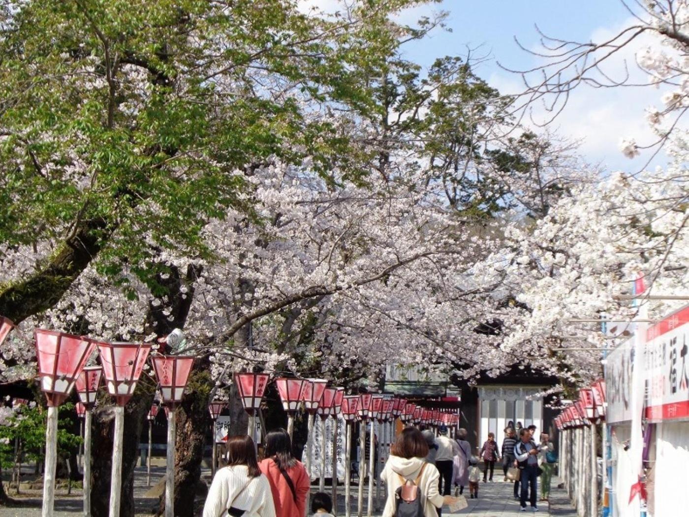 Guesthouse Giwa - Vacation Stay 14269V Mishima  Exterior foto