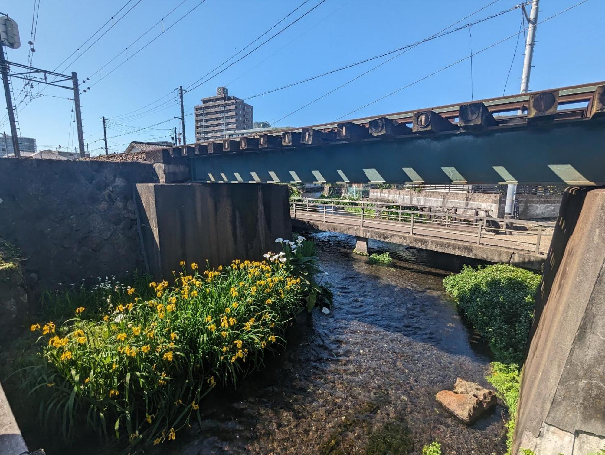 Guesthouse Giwa - Vacation Stay 14269V Mishima  Exterior foto